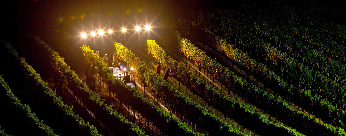 Harvest is coming